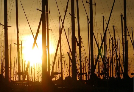 Morning Behind the Masts