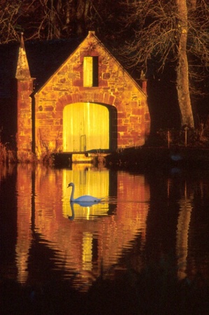 Boat House Swan