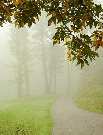 Seasonal Pathway