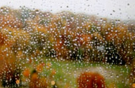 Rain and Fall Colors