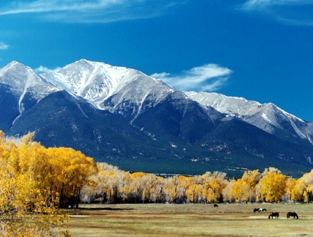 Colorado in the fall