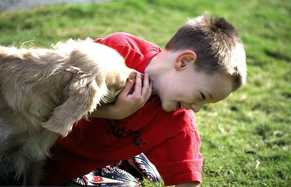 A Boy and A Dog