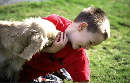 A Boy and A Dog