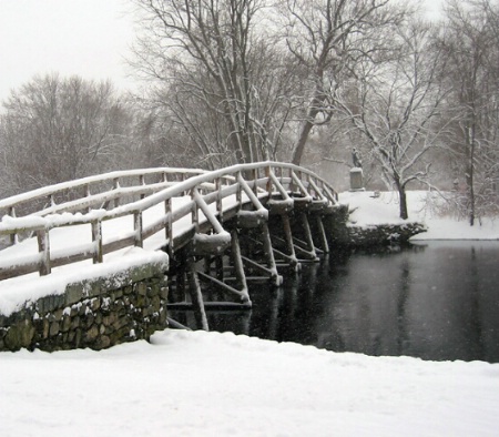 Snowy day in Concord