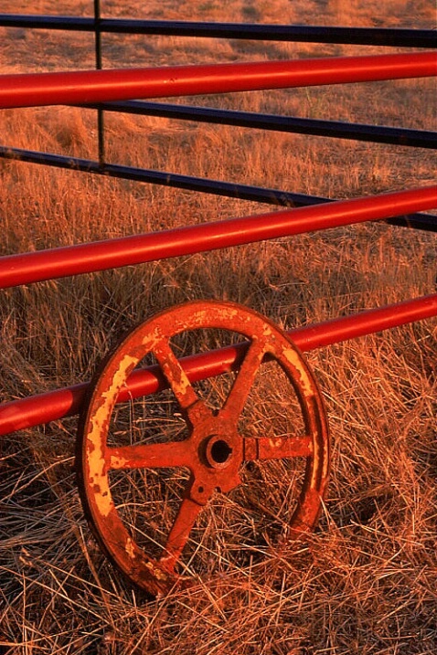 FENCE &WHEEL 2a (w/polarizer) 