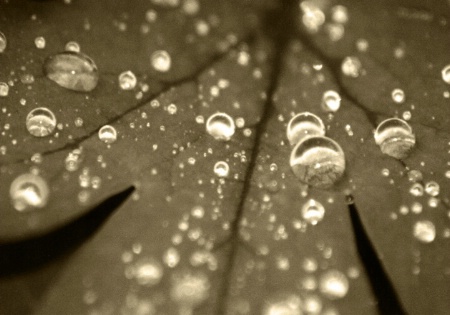 Rain drops