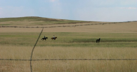 Beauty Beyond the Barbed Wire