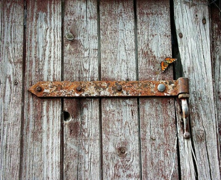 Old Barn Door