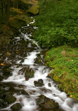 Autumn Cascade