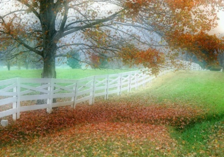 Shenandoah Fall