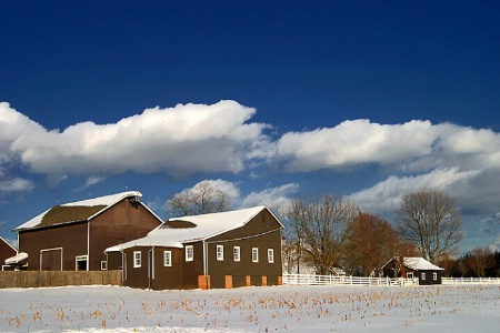 FARM IN JANUARY