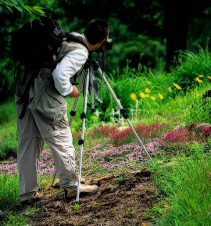 The Photographer