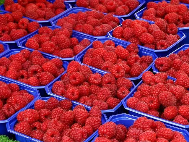 Raspberries in Bergen