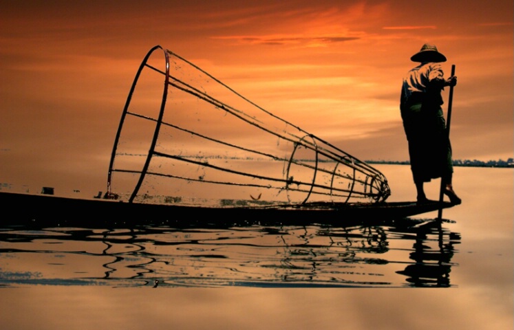 Burmese Fisherman