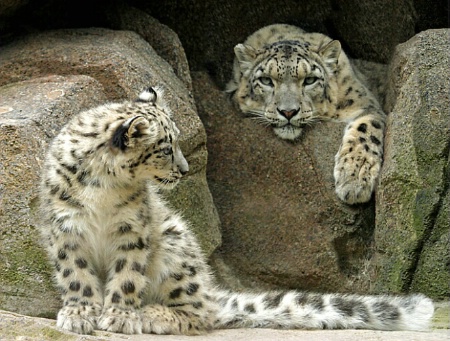 Mom and Daughter