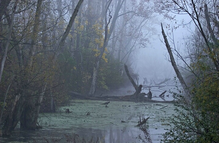 Eerie Canal