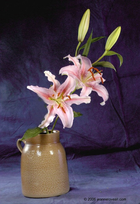 Lilies in Jug