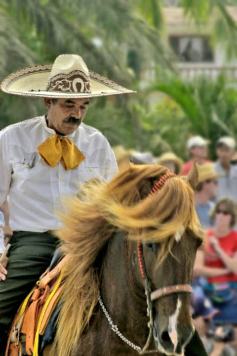 Sayulita Charro - Blurred