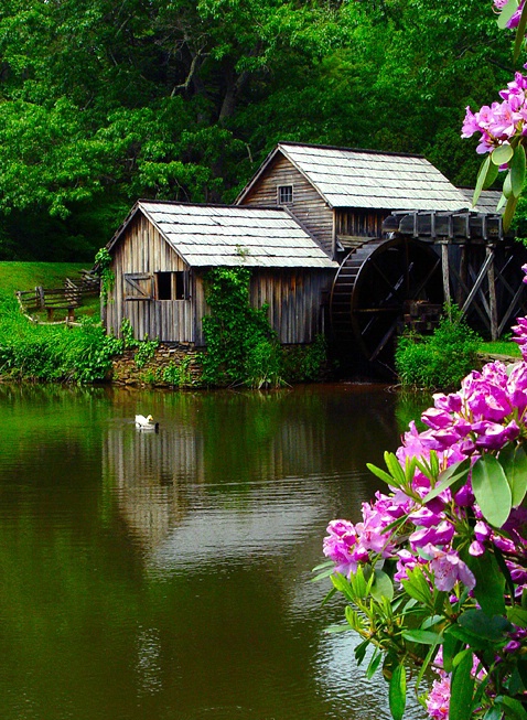 Mabry's Mill*