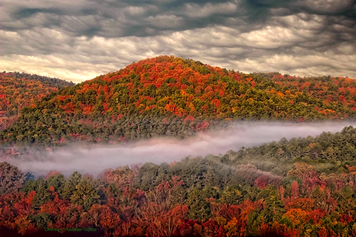 The Misty Hills