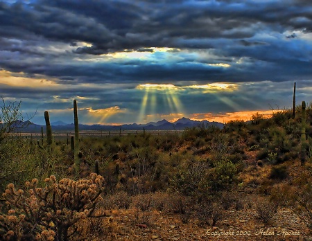 Desert Sundown