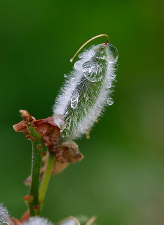 After the Rain