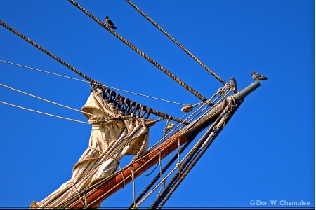 Nautical Perch