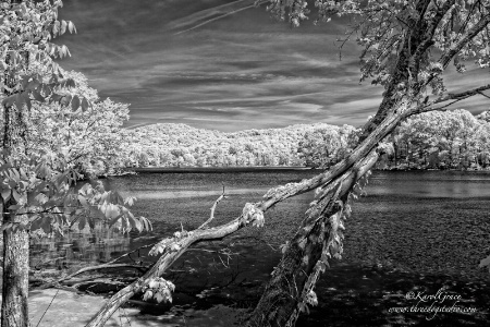 Radnor Lake