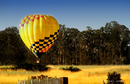 Sun Soaked Landing