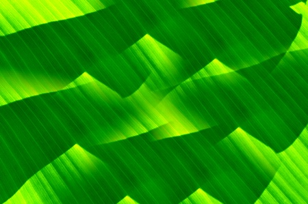 GREEN ABSTRACT