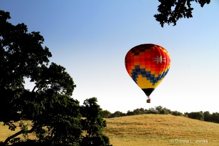 Floating Over the Fields