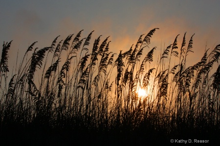 OBX Sunset