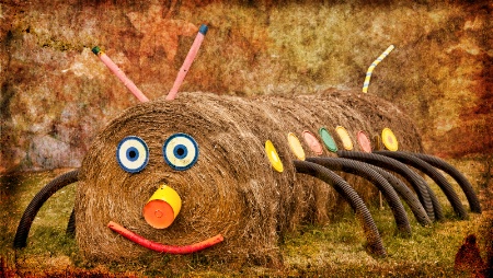 Haypillar