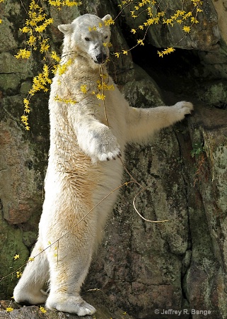 "Taking Time To Smell The Flowers"