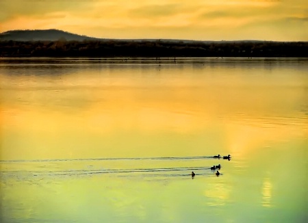 An Evening Swim