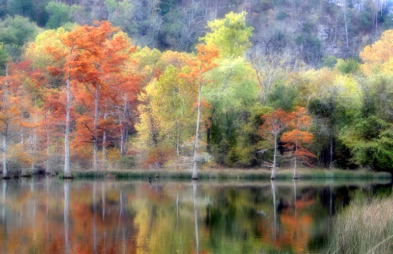 Beavers Bend Autumn Fantasy