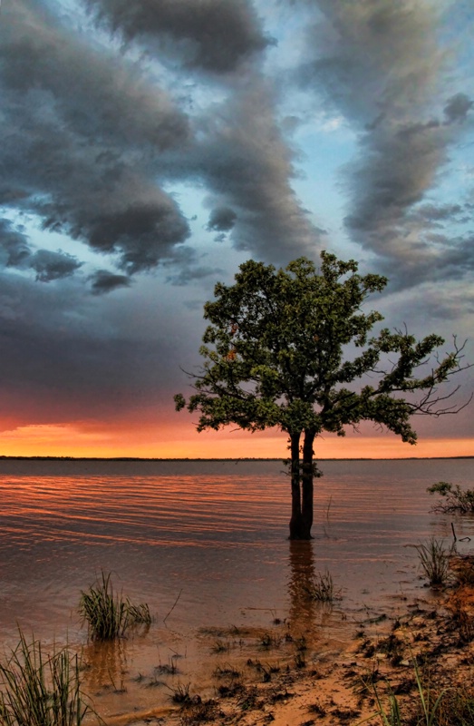 Cloud Patterns And The Tree