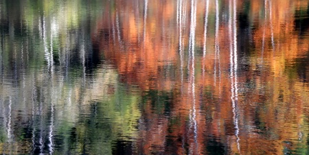 Reflections Of Autumn