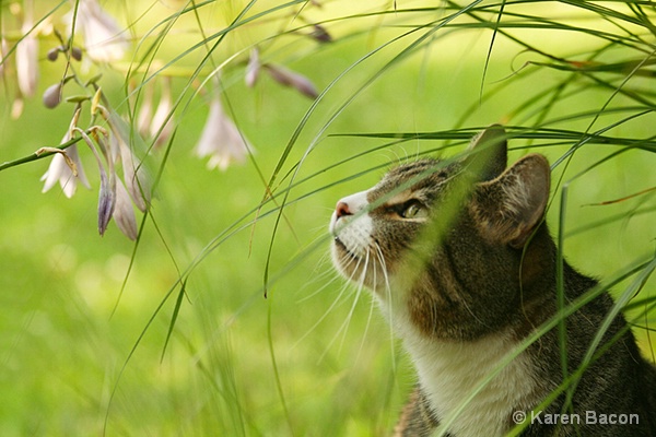 Tyson discovers the joy of nature