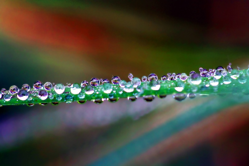 String Of Beads