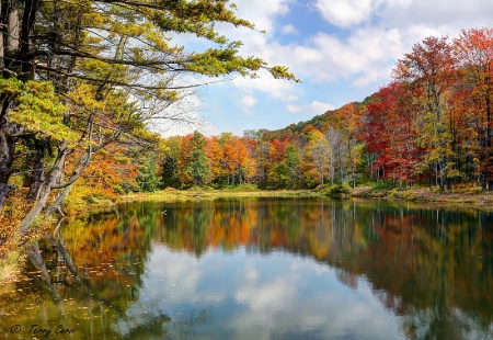 Autumn at Science Lake