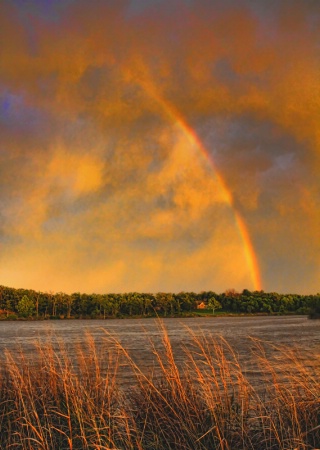 Rainbow On A Windy Night