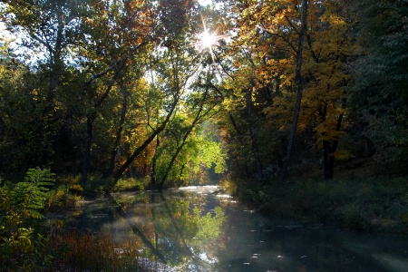 The Creek At Clayton Lake