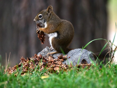 messy little eater