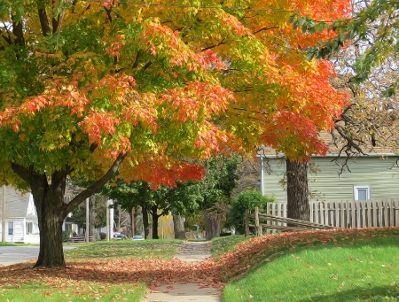 Autumn On The Street