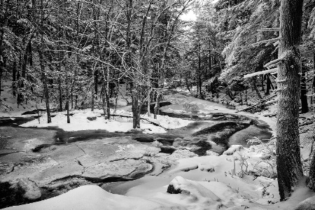 Cold Stream