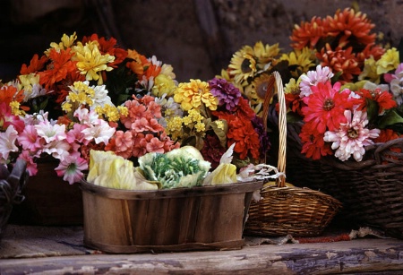 Mixed Flowers