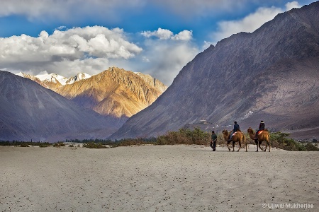 Camel Ride in Nubra Valley