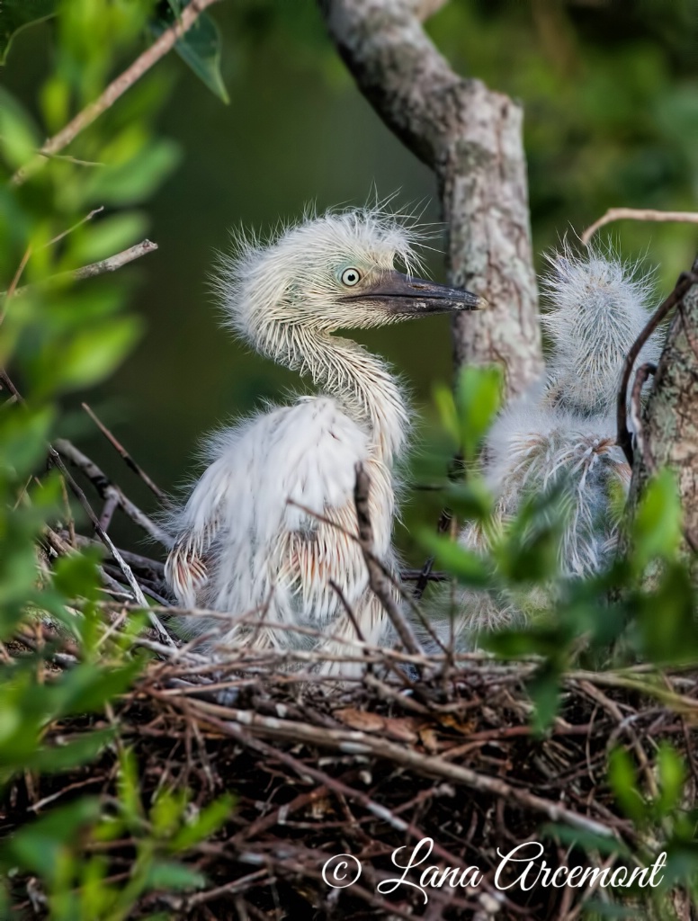 A Mother's Love