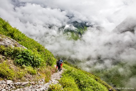 Into the Valley